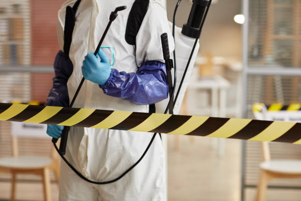 Professional Sewage Cleanup technician working in Pleasantville, IA